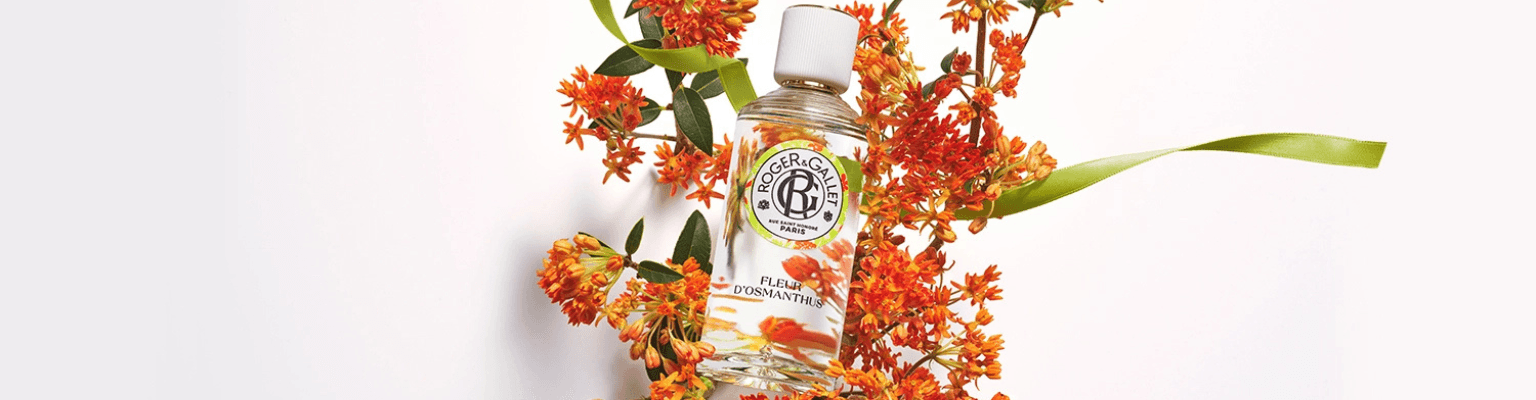 Fleur d'Osmanthus