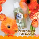 Bois d'Orange Wellbeing Body Lotion