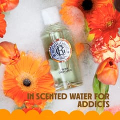 Bois d'Orange Wellbeing Hand Cream