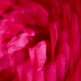 Gingembre Rouge Wellbeing Shower Gel