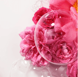 Rose Wellbeing Shower Gel