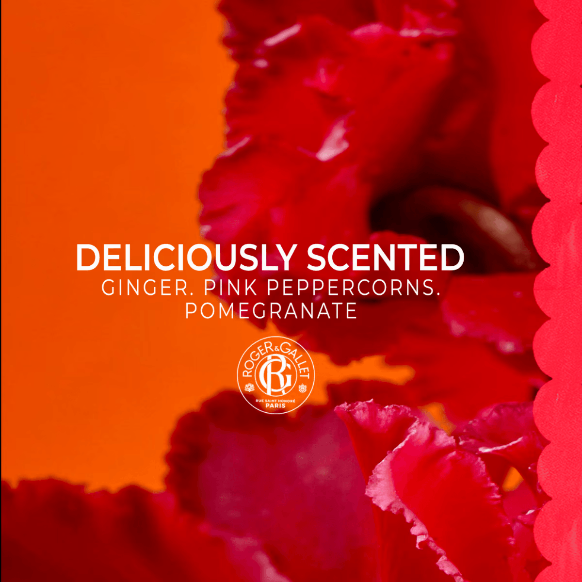 Gingembre Rouge Wellbeing Shower Gel