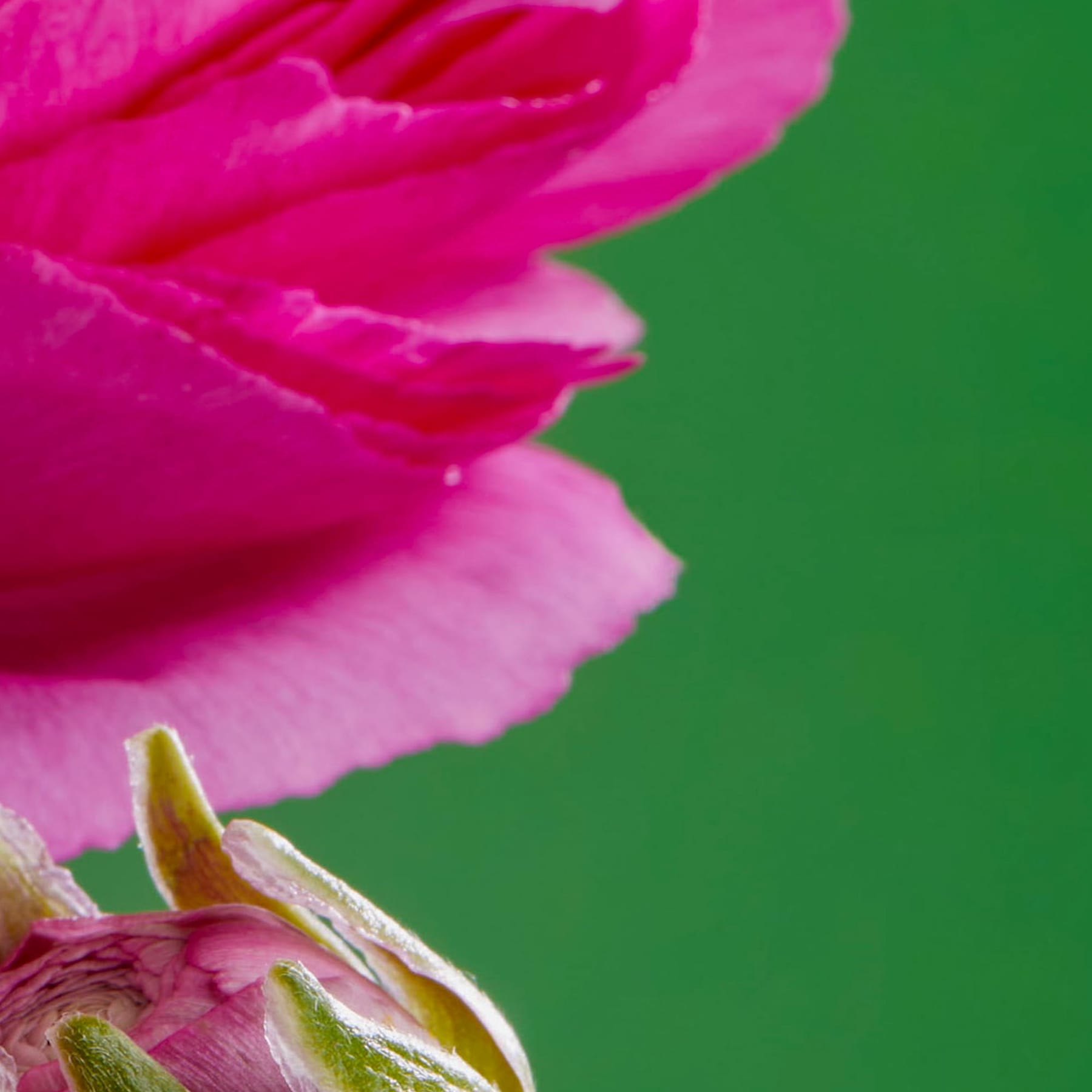 Naturally relaxing